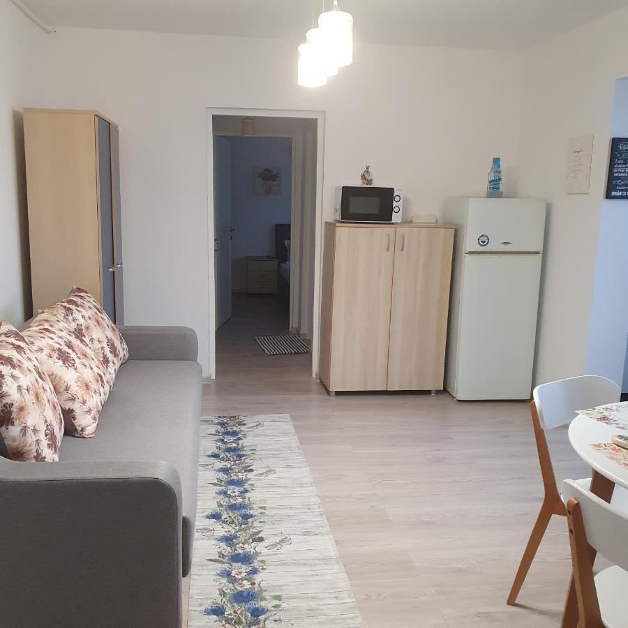 Sendy Apartment Orsova Exterior photo